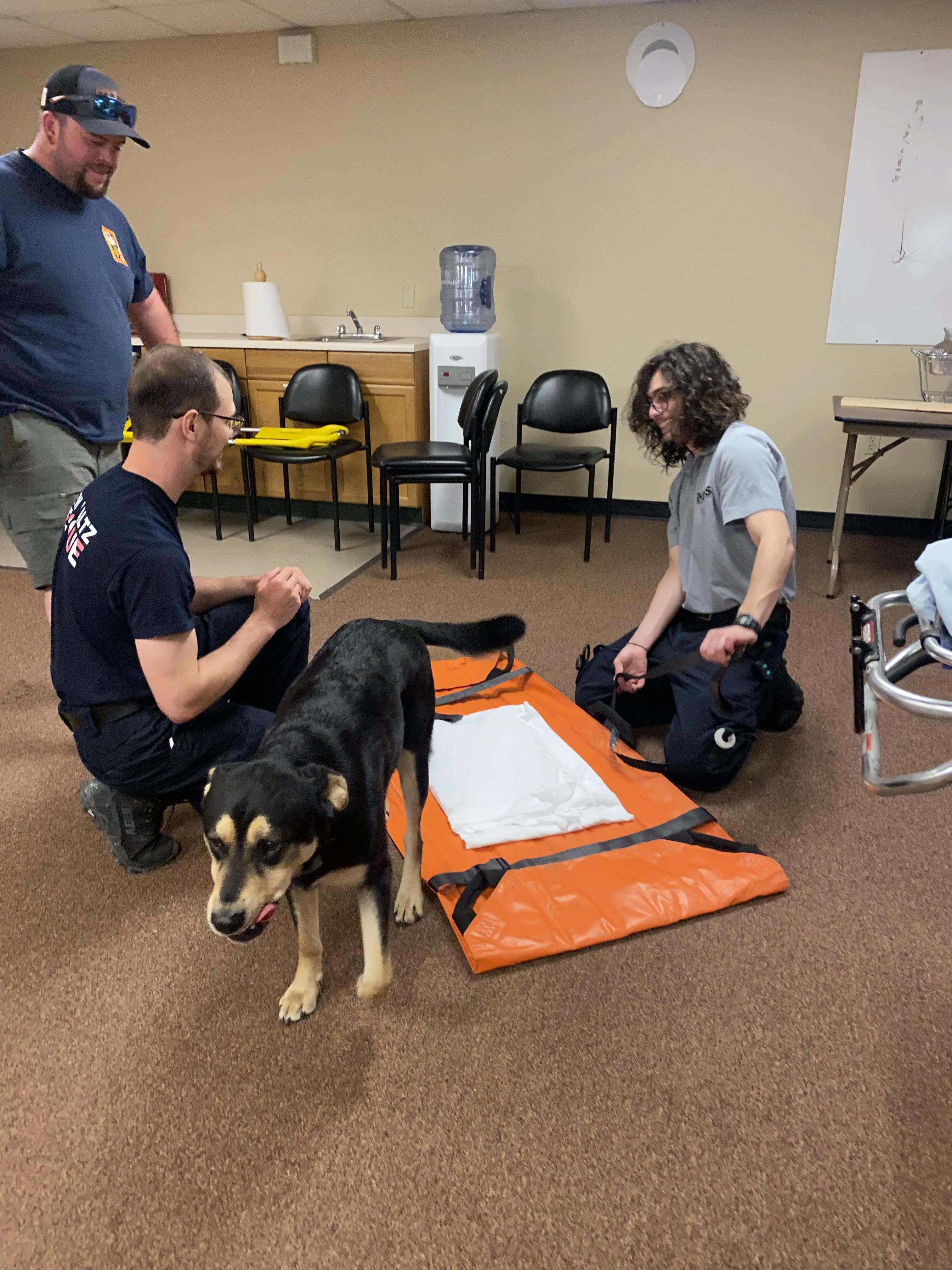 NPRS members and dog doing a training